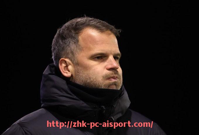 爱体育-德甲球队分类标准及各类别球队特征图表