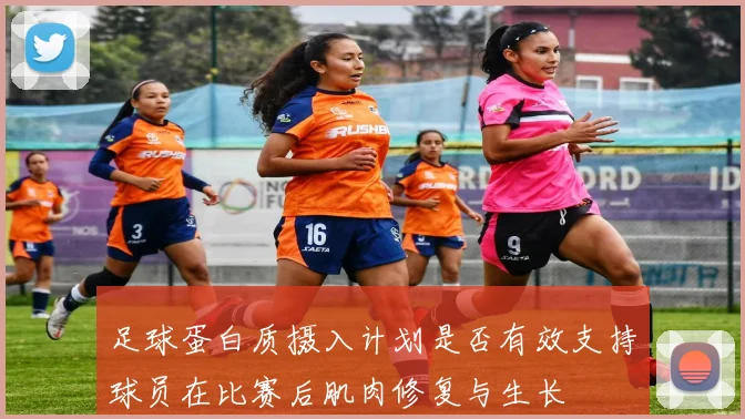 足球蛋白质摄入计划是否有效支持球员在比赛后肌肉修复与生长